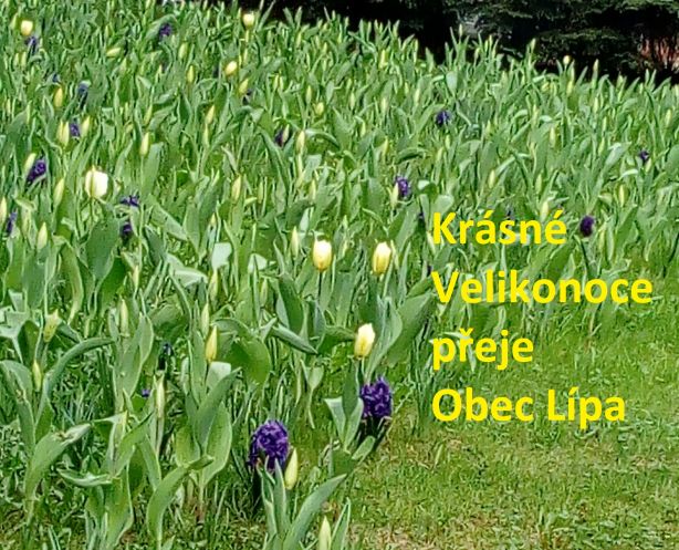 Velikonoční přání