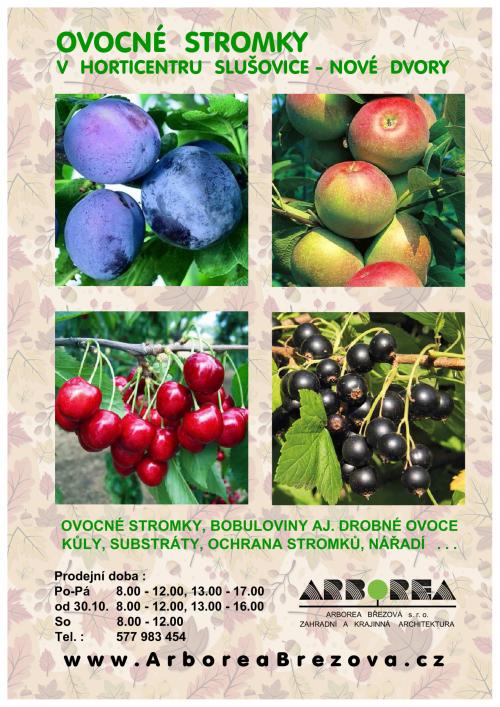 arborea